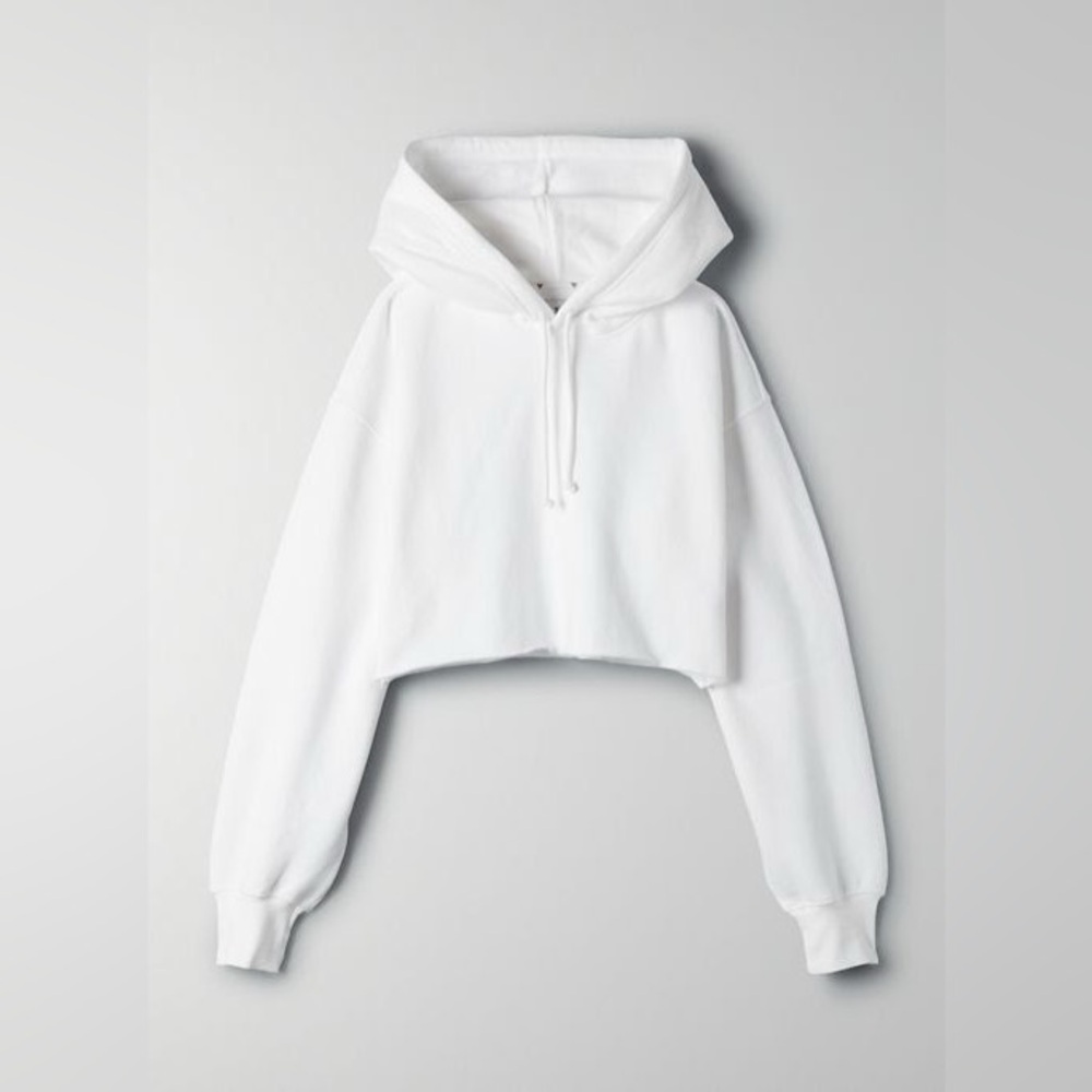 Aritzia Tna Cozy Fleece Boyfriend Cropped Hoodie
